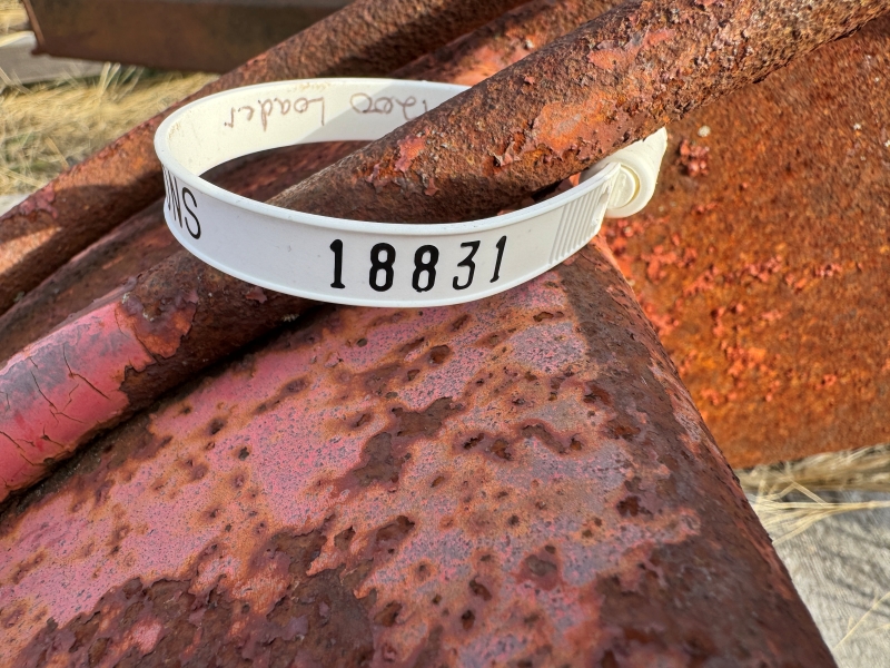 Used IH 1200 loader for sale at Baker & Sons Equipment in Ohio