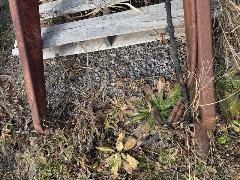 Used IH 1200 loader for sale at Baker & Sons Equipment in Ohio