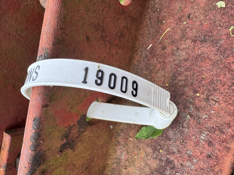 Used International Harvester 37 disc at Baker & Sons Equipment in Ohio