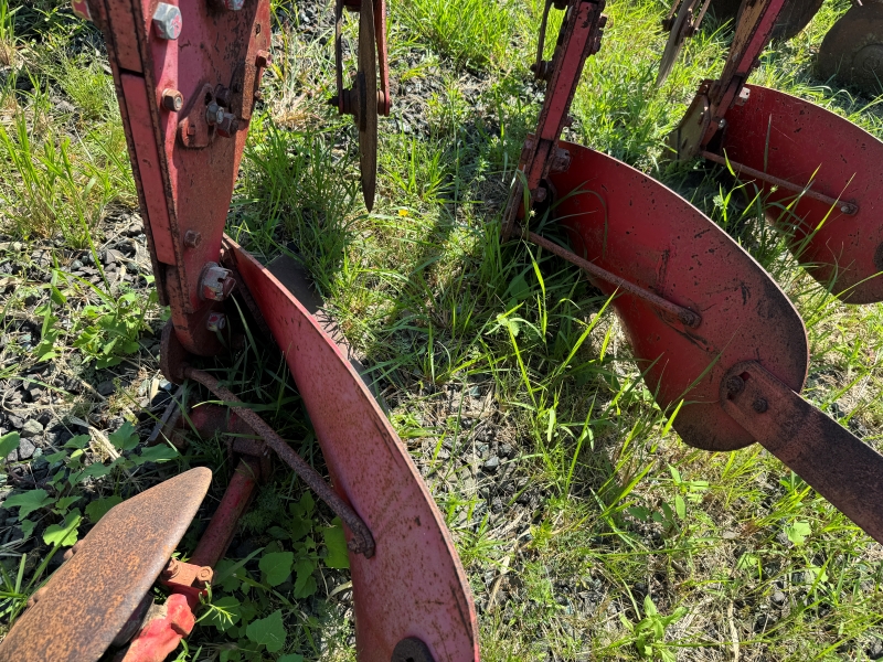 Used Massey Ferguson 43 plow for sale at Baker & Sons Equipment in Ohio